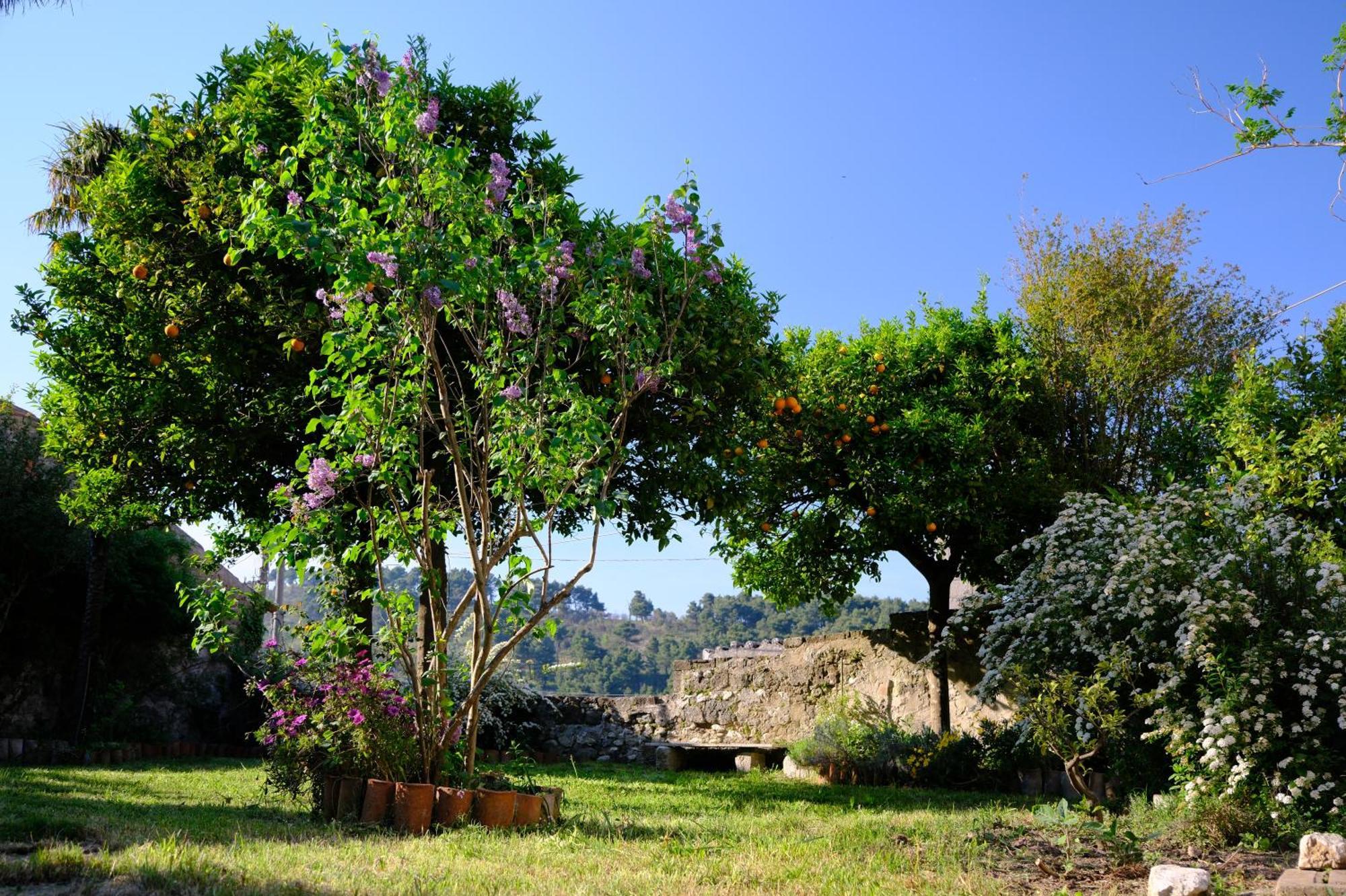 Conte Spencer Bed and Breakfast Caserta Vecchia Eksteriør billede